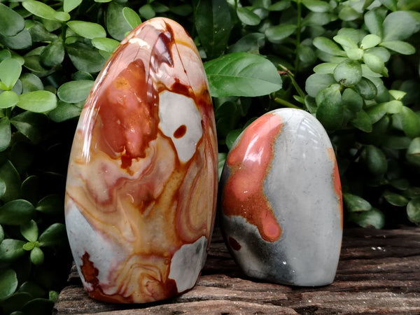 Polished Polychrome Jasper Standing Free Forms x 2 From Mahajanga, Madagascar