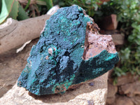 Natural Botryoidal Malachite Specimens x 2 From Congo