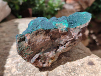 Natural Botryoidal Malachite Specimens x 2 From Congo