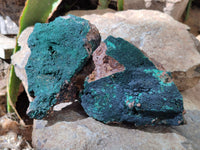 Natural Botryoidal Malachite Specimens x 2 From Congo