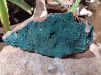 Natural Botryoidal Malachite Specimens x 2 From Congo