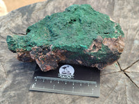 Natural Botryoidal Malachite Specimens x 2 From Congo