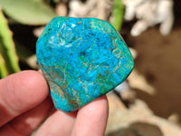 Polished Chrysocolla With Shattuckite and Azurite Free Forms x 12 From Congo