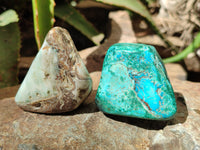 Polished Chrysocolla With Shattuckite and Azurite Free Forms x 12 From Congo