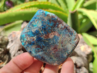 Polished Chrysocolla With Shattuckite and Azurite Free Forms x 12 From Congo