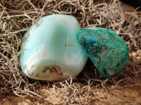 Polished Chrysocolla With Shattuckite and Azurite Free Forms x 12 From Congo