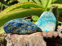 Polished Chrysocolla With Shattuckite and Azurite Free Forms x 12 From Congo