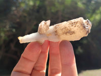 Natural Drusy Quartz Coated Calcite Pseudomorph Specimens x 12 From Alberts Mountain, Lesotho