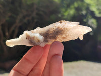 Natural Drusy Quartz Coated Calcite Pseudomorph Specimens x 12 From Alberts Mountain, Lesotho