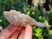 Natural Drusy Quartz Coated Calcite Pseudomorph Specimens x 12 From Alberts Mountain, Lesotho