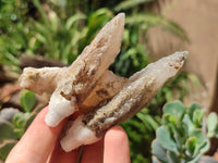 Natural Drusy Quartz Coated Calcite Pseudomorph Specimens x 12 From Alberts Mountain, Lesotho