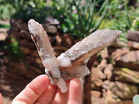 Natural Drusy Quartz Coated Calcite Pseudomorph Specimens x 12 From Alberts Mountain, Lesotho