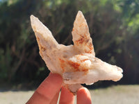 Natural Drusy Quartz Coated Calcite Pseudomorph Specimens x 12 From Alberts Mountain, Lesotho