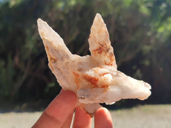 Natural Drusy Quartz Coated Calcite Pseudomorph Specimens x 12 From Alberts Mountain, Lesotho