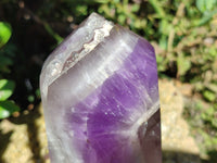 Polished Chevron Amethyst Point x 1 from Madagascar