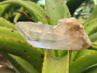 Natural Clear Quartz Crystals x 14 From Madagascar