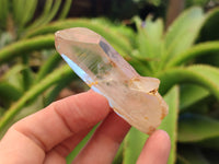 Natural Clear Quartz Crystals x 14 From Madagascar