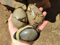 Polished Septerye Eggs x 3 From Mahajanga, Madagascar