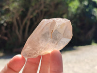 Natural Smokey Quartz Clusters x 11 From Erongo, Namibia