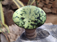 Polished Leopard Stone Free Forms x 5 From Nyanga, Zimbabwe