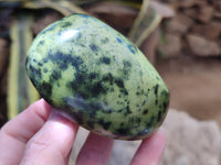 Polished Leopard Stone Free Forms x 5 From Nyanga, Zimbabwe