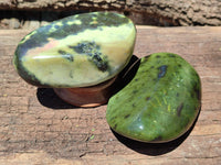 Polished Leopard Stone Free Forms x 5 From Nyanga, Zimbabwe