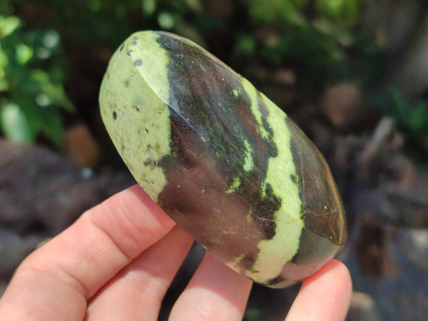 Polished Leopard Stone Free Forms x 5 From Nyanga, Zimbabwe