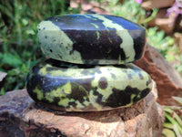 Polished Leopard Stone Free Forms x 5 From Nyanga, Zimbabwe