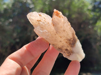 Natural Drusy Quartz Coated Calcite Pseudomorph Specimens x 12 From Alberts Mountain, Lesotho