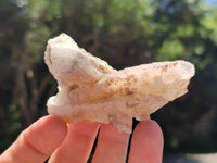 Natural Drusy Quartz Coated Calcite Pseudomorph Specimens x 12 From Alberts Mountain, Lesotho