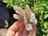 Natural Drusy Quartz Coated Calcite Pseudomorph Specimens x 12 From Alberts Mountain, Lesotho