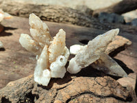 Natural Drusy Quartz Coated Calcite Pseudomorph Specimens x 12 From Alberts Mountain, Lesotho