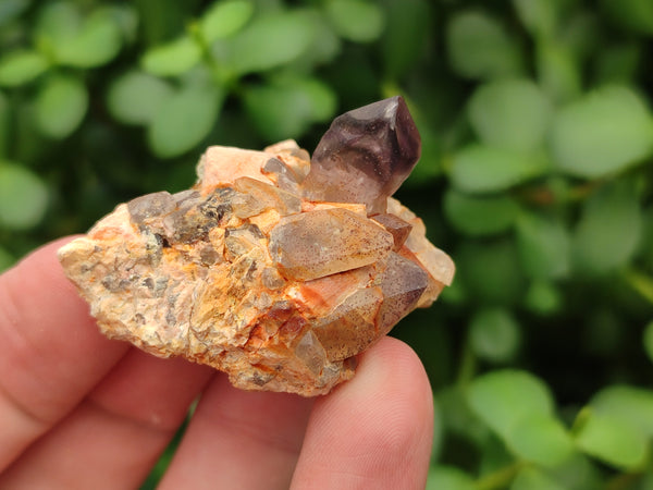 Natural Assortment Of Quartz Clusters x 12 From Brandberg, Namibia