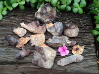 Natural Assortment Of Quartz Clusters x 12 From Brandberg, Namibia