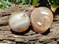 Polished Flower Agate Standing Free Forms x 3 From Antsahalova, Madagascar