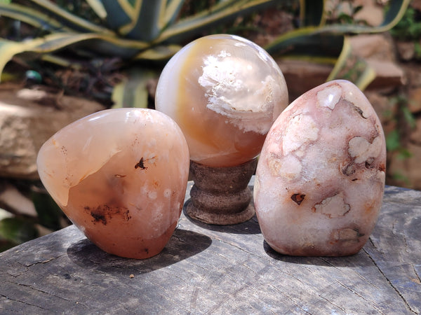 Polished Flower Agate Standing Free Forms x 3 From Antsahalova, Madagascar