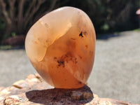 Polished Flower Agate Standing Free Forms x 3 From Antsahalova, Madagascar