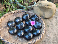 Polished Black Basalt Palm Stones x 12 From Antsirabe, Madagascar