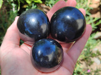 Polished Black Basalt Palm Stones x 12 From Antsirabe, Madagascar