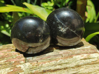 Polished Black Basalt Palm Stones x 12 From Antsirabe, Madagascar