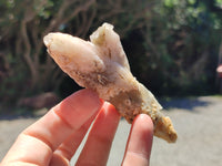 Natural Drusy Quartz Coated Calcite Pseudomorph Specimens x 12 From Alberts Mountain, Lesotho