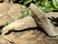 Natural Drusy Quartz Coated Calcite Pseudomorph Specimens x 12 From Alberts Mountain, Lesotho