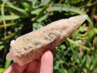 Natural Drusy Quartz Coated Calcite Pseudomorph Specimens x 12 From Alberts Mountain, Lesotho