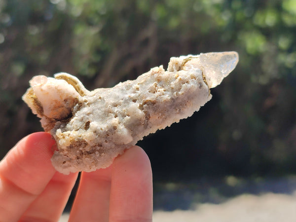 Natural Drusy Quartz Coated Calcite Pseudomorph Specimens x 12 From Alberts Mountain, Lesotho