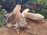 Natural Drusy Quartz Coated Calcite Pseudomorph Specimens x 12 From Alberts Mountain, Lesotho