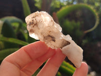 Natural Drusy Quartz Coated Calcite Pseudomorph Specimens x 12 From Alberts Mountain, Lesotho