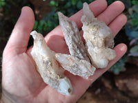 Natural Drusy Quartz Coated Calcite Pseudomorph Specimens x 12 From Alberts Mountain, Lesotho