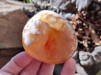 Polished Flower Agate Palm Stones x 12 From Antsahalova, Madagascar