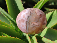 Polished Flower Agate Palm Stones x 12 From Antsahalova, Madagascar