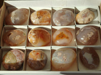 Polished Flower Agate Palm Stones x 12 From Antsahalova, Madagascar